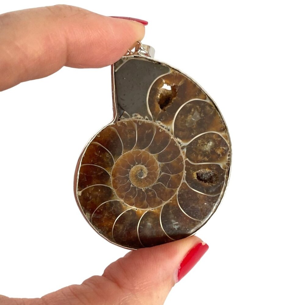 Large Brown Iridescent Ammonite Spiral Fossil Sterling Silver Pendant 2in Long